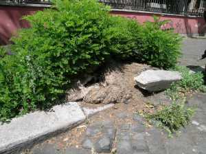 Centro anziani via S. Quintino