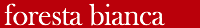 fo_bia_logo