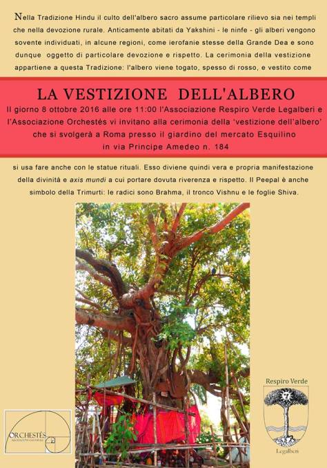 14595742_10206435943171377_7410630684715139827_n