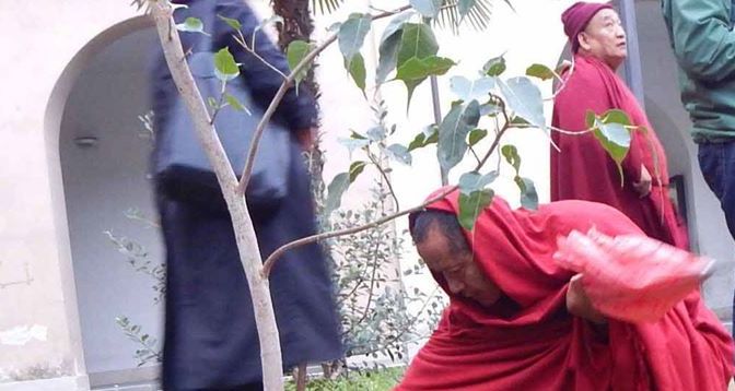 19 novembre 2016 Inaugurazione della targa del Ficus Religiosa presso il giardino dell’Università a via Principe Amedeo 184