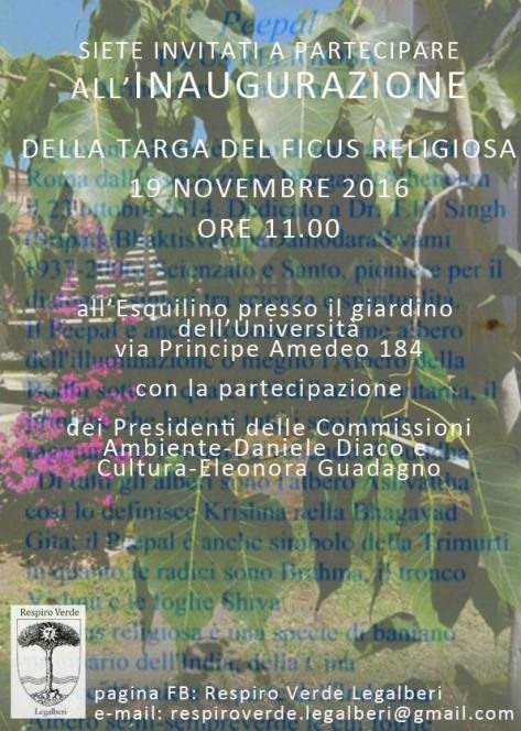 15085492_10206724543706210_602204526825704059_n