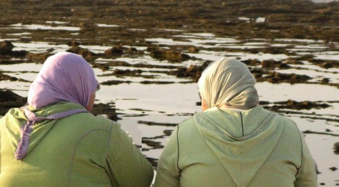 24/11/16 “PATIENCE PATIENCE T’IRAS AU PARADIS” di Hadja Lahbib all’Apollo 11