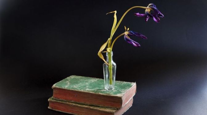 7 – 9 aprile 2017 mostra fotografica “L’alfabeto degli enigmi confortanti” presso lo Studio Finelli