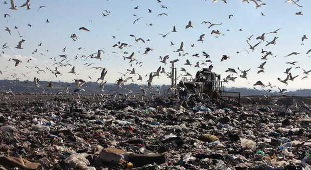 Chi  s’ è arrubbata ‘a monnezza de Roma ?