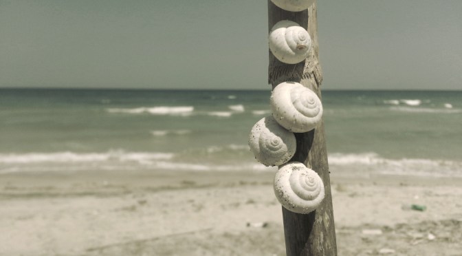 9 – 22 giugno 2017 “Fragile” di Massimo Ruiu mostra presso “Interno 14”