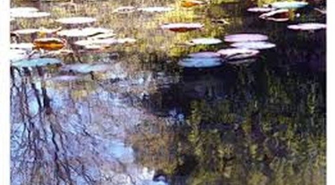 8-9 giugno “Riflessi di un giardino – Emozione Monet” Mostra Fotografica presso Palazzo del Freddo Fassi