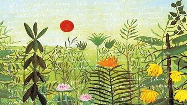 16 dicembre 2017 presentazione del libro “Il bambino promesso” presso la Libreria Pagina 2