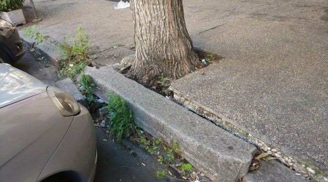 Marciapiedi che si innalzano all’Esquilino, fenomeni di bradisismo? No, solo alberi senza manutenzione