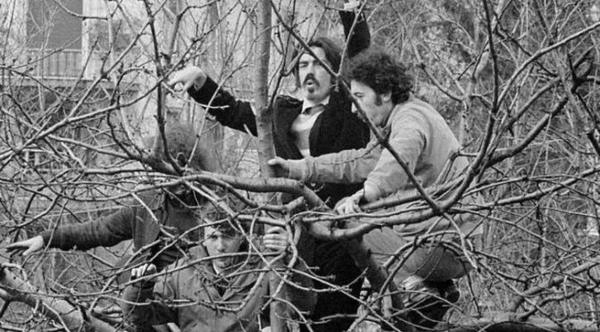 27 dicembre 2018 “1968 Gli uccelli” all’Apollo 11