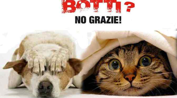 Roma, 31 dicembre 2018: Ordinanza anti botti e fuochi d’artificio della Sindaca