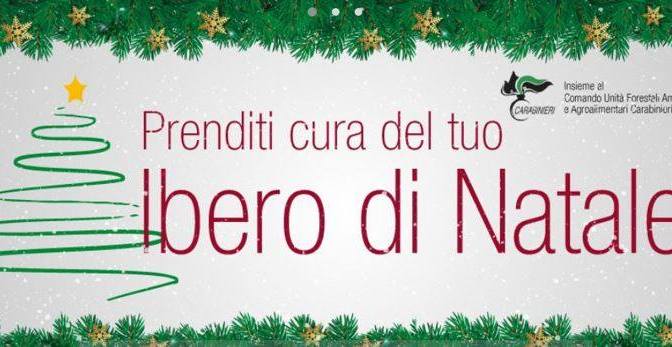 Campagna informativa per restituire l’albero di Natale e le norme per smaltire quelli artificiali non più utilizzabili