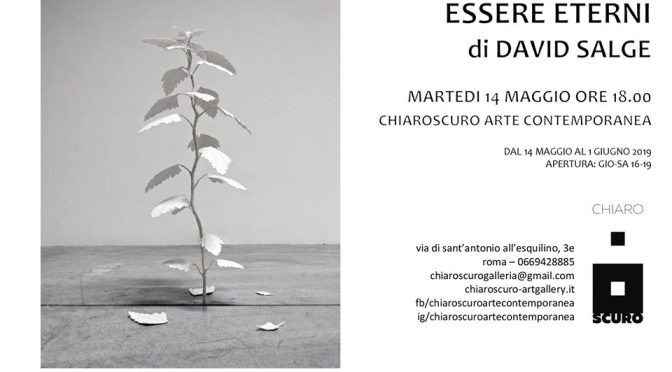 14 – 25 maggio 2019 “Essere Eterni di David Salge” alla galleria Chiaroscuro Arte Contemporanea
