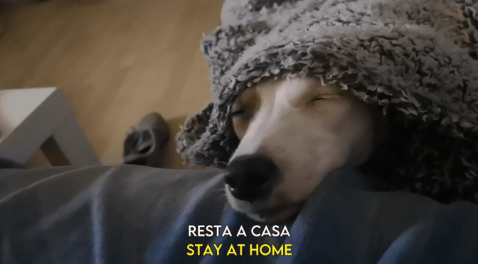 #IorestoACasa “Stay at home  -Resta a casa” un simpatico appello a rimanere a casa