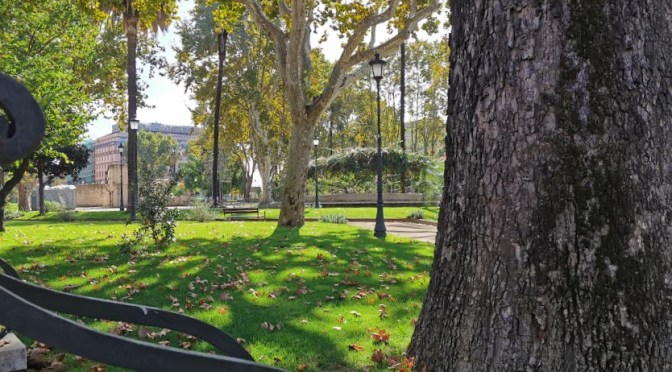 Piazza Vittorio: una sbirciatina tra le inferriate prima della riapertura ufficiale