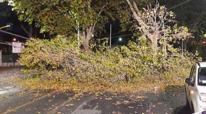 3 dicembre 2020: ramo sulla linea aerea del tram a via di Porta Maggiore. Deviati tram e bus.