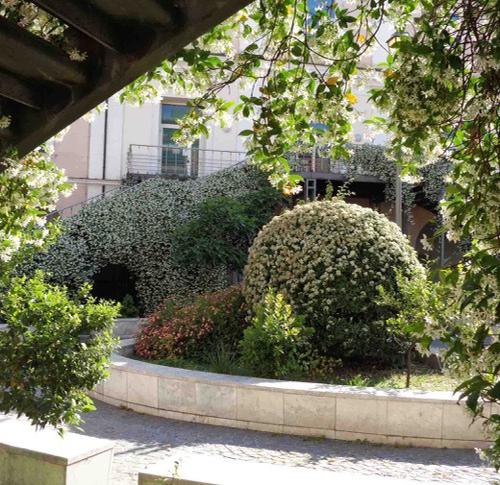 21ae0202792e693a00b8720c.11300091