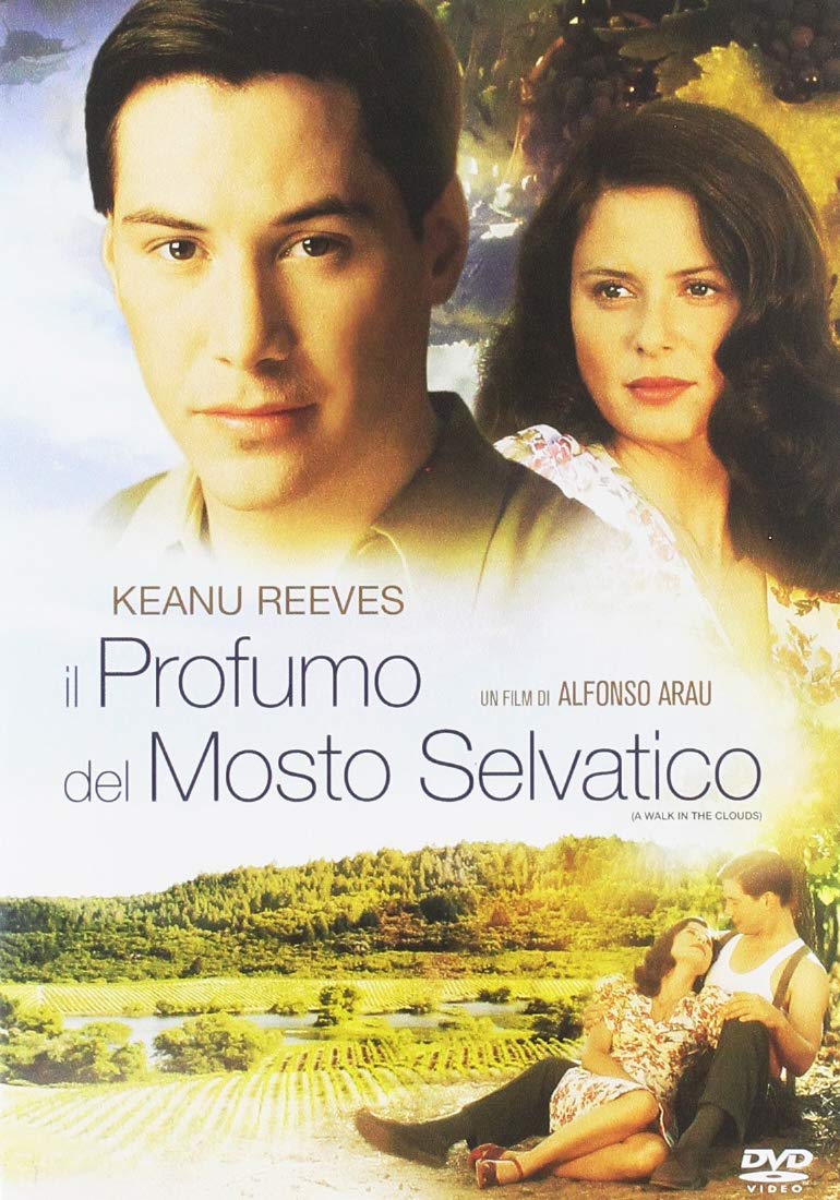 71slyolmdhl._sl1100_