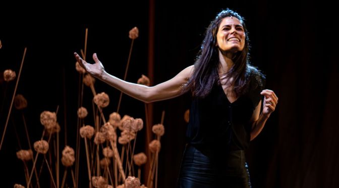 26-31 ottobre 2021 “Gerico innocenza rosa” al Teatro Ambra Jovinelli