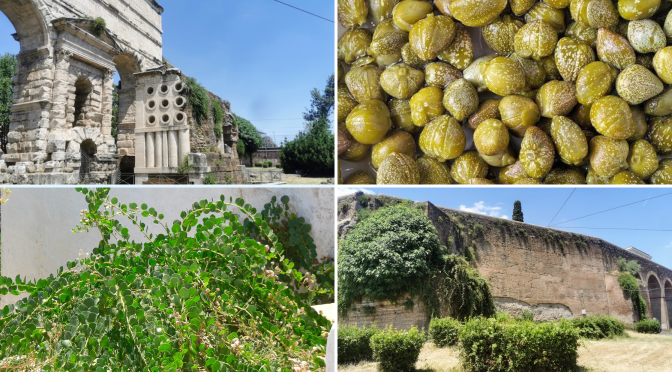 Capperi…. che problema!