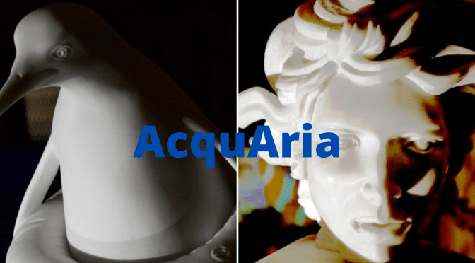 Alcune delle opere esposte alla mostra “AcquAria” all’Acquario Romano