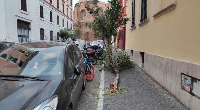 Poi alla fine i nodi vengono al pettine e le strade rimangono senza alberi