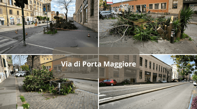 Gli alberi a via di Porta Maggiore non ci sono più!