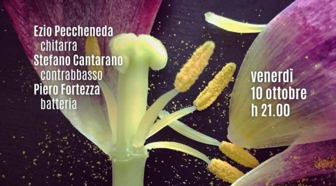 10/10/25 “Tulipes Jazz Trio” al Gatsby Cafè