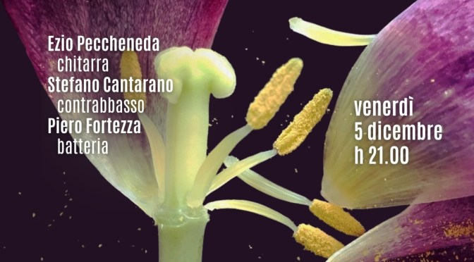 5/12/25 “Tulipes Jazz Trio” al Gatsby Cafè